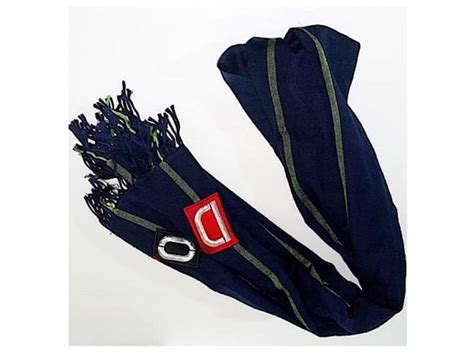 christian dior pashmina|Christian Dior Rare Galliano Embroidered Logo Pashmina Blue.